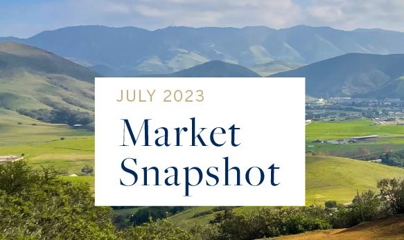 Market Snapshot July 2023