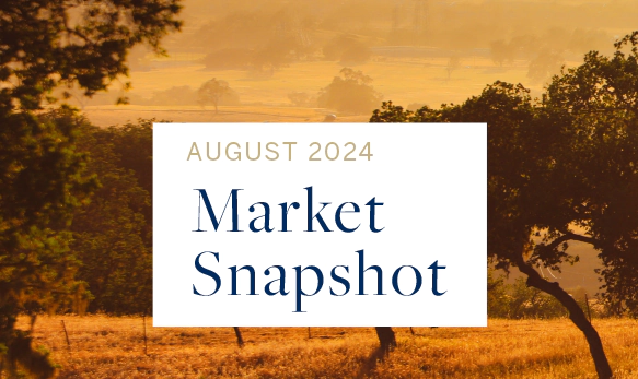 August 2024 Market Snapshot