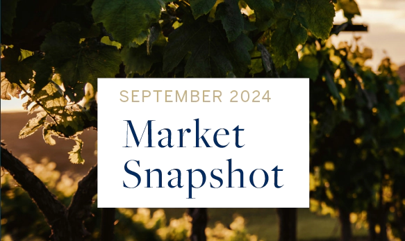 September 2024 Market Snapshot